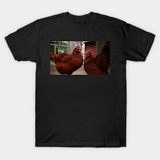 Twin Chickens T-Shirt